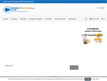 Tablet Screenshot of guitares-miniatures.com